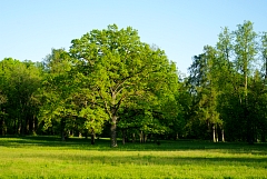 IMGP9842.JPG