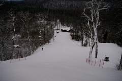 IMGP0734.JPG