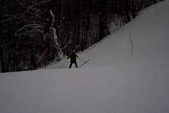 IMGP0737.JPG