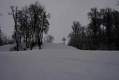 IMGP0742.JPG