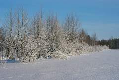IMGP1141.JPG