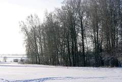 IMGP1142.JPG