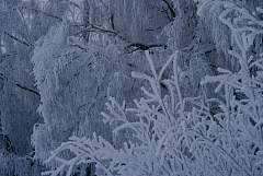 IMGP2094.JPG