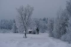 IMGP2099.JPG