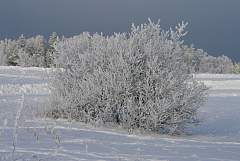 IMGP2241.JPG