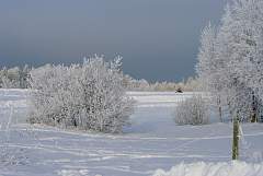 IMGP2242.JPG