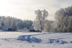 IMGP2247.JPG
