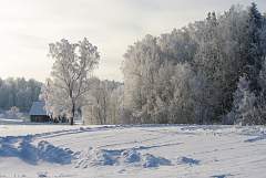 IMGP2248.JPG