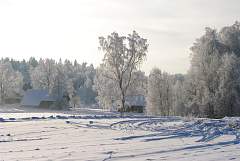 IMGP2257.JPG
