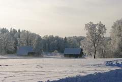 IMGP2280.JPG