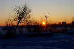 IMGP2468.JPG