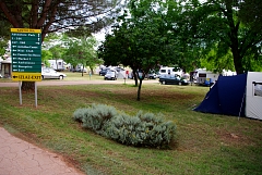 IMGP4649.JPG