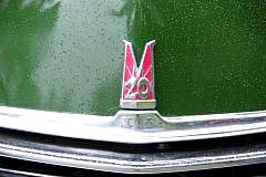 IMGP0220.JPG