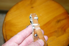 IMGP3701.JPG