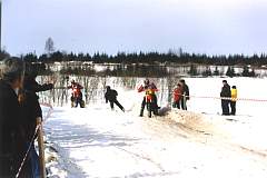 kalvene08.jpg