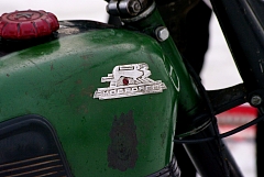 IMGP8291.JPG