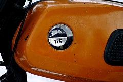 IMGP8298.JPG