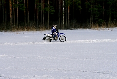 IMGP8305.JPG