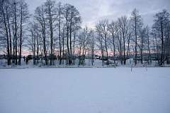 IMGP3484.JPG