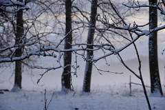 IMGP3557.JPG