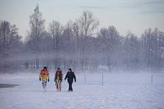 IMGP3568.JPG