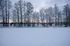 IMGP3484.JPG