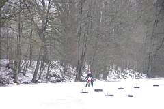 IMGP5590.JPG