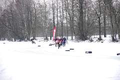 IMGP5739.JPG