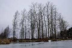 IMGP5994.JPG