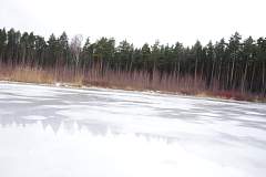 IMGP6002.JPG