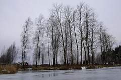 IMGP5994.JPG