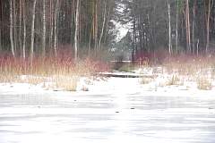 IMGP6001.JPG