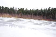 IMGP6002.JPG