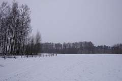 IMGP6436.JPG