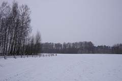 IMGP6436.JPG