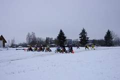 IMGP7583.JPG