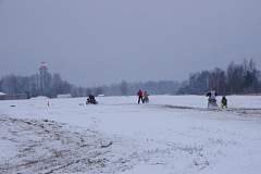 IMGP7700.JPG