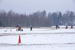 IMGP7733.JPG