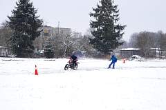 IMGP7542.JPG