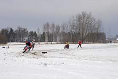 IMGP7950.JPG