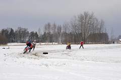 IMGP7950.JPG