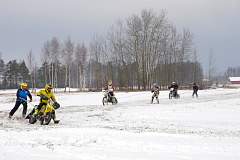 IMGP7955.JPG