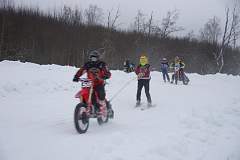 IMGP3623.JPG