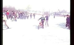 img041.jpg