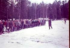 img049.jpg