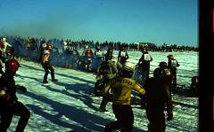 img071.jpg