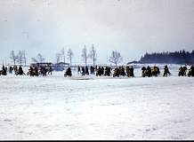 img073.jpg