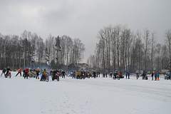 DSC_0520.JPG