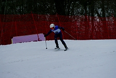 IMGP0225.JPG