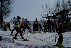 IMGP0238.JPG